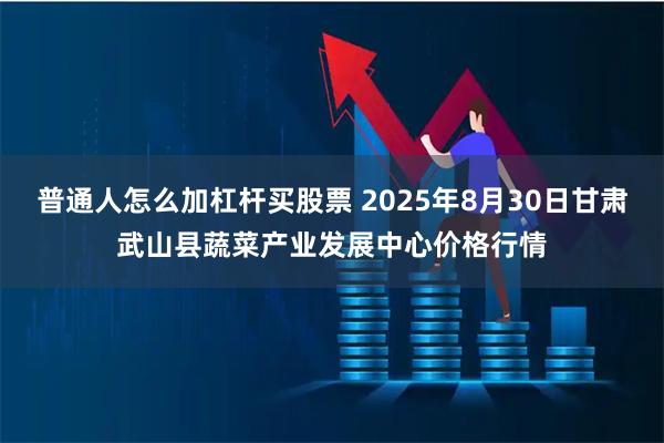 普通人怎么加杠杆买股票 2025年8月30日甘肃武山县蔬菜产业发展中心价格行情