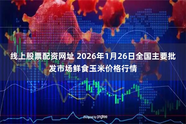线上股票配资网址 2026年1月26日全国主要批发市场鲜食玉米价格行情