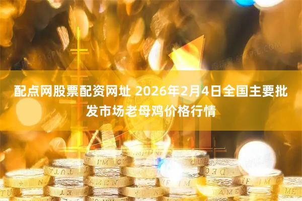 配点网股票配资网址 2026年2月4日全国主要批发市场老母鸡价格行情