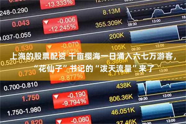 上海的股票配资 千亩樱海一日涌入六七万游客,“花仙子”书记的“泼天流量”来了