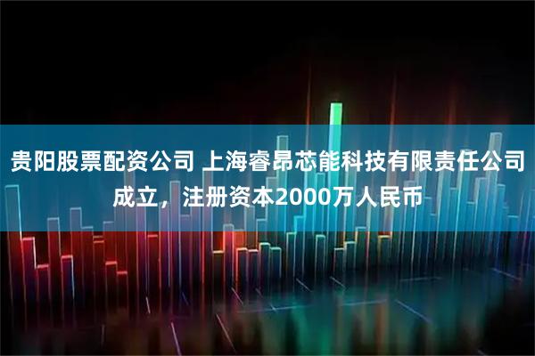 贵阳股票配资公司 上海睿昂芯能科技有限责任公司成立,注册资本2000万人民币